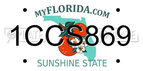 1CCS869 Florida License Plate
