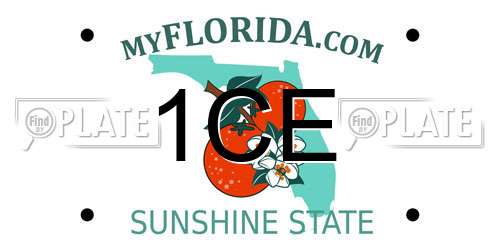 1CE Florida License Plate