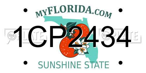 1CP2434 Florida License Plate