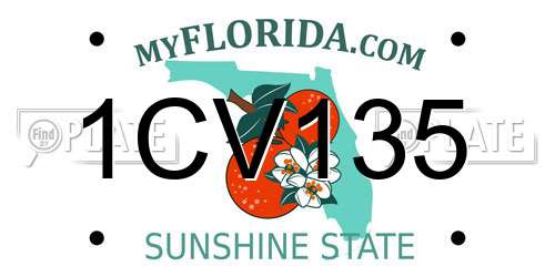 1CV135 Florida License Plate