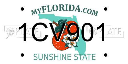 1CV901 Florida License Plate