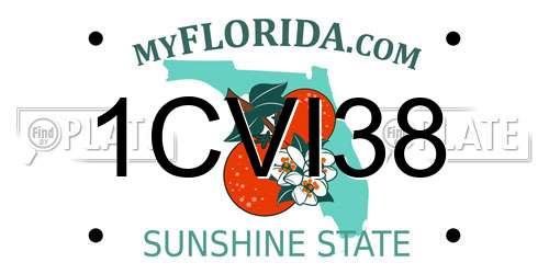 1CVI38 Florida License Plate