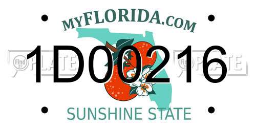 1D00216 Florida License Plate