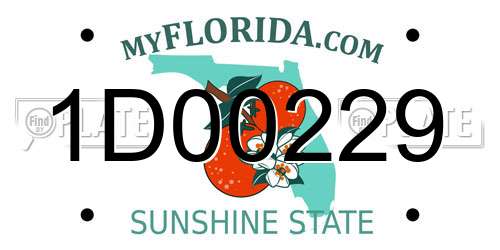 1D00229 Florida License Plate