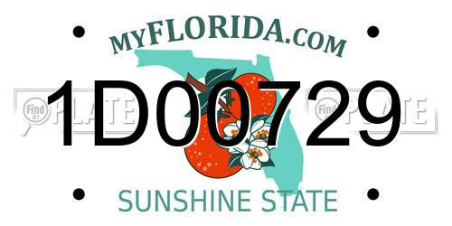 1D00729 Florida License Plate