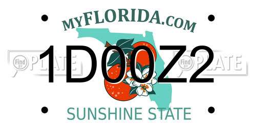 1D00Z2 Florida License Plate