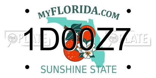 1D00Z7 Florida License Plate