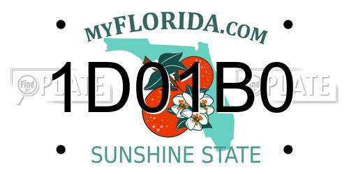1D01B0 Florida License Plate
