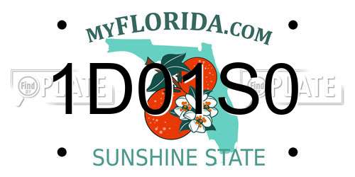 1D01S0 Florida License Plate