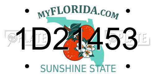 1D21453 Florida License Plate