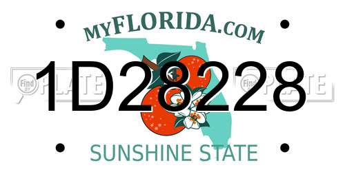 1D28228 Florida License Plate