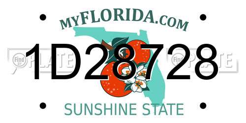 1D28728 Florida License Plate
