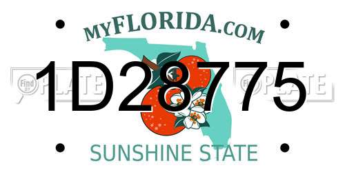 1D28775 Florida License Plate