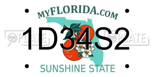 1D34S2 Florida License Plate