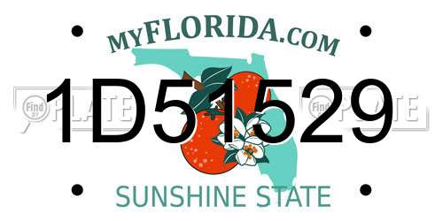 1D51529 Florida License Plate