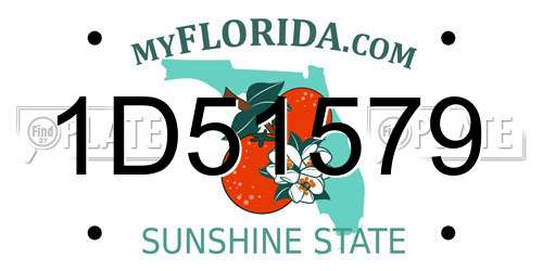 1D51579 Florida License Plate