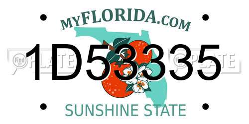 1D53335 Florida License Plate