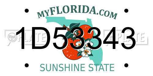 1D53343 Florida License Plate