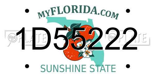 1D55222 Florida License Plate