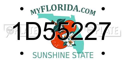 1D55227 Florida License Plate
