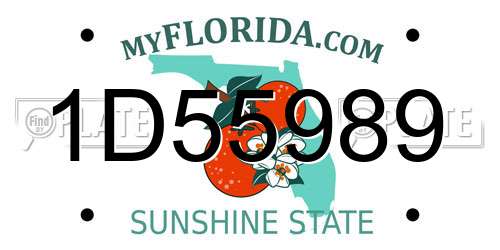 1D55989 Florida License Plate
