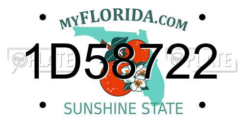 1D58722 Florida License Plate