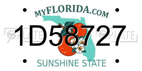 1D58727 Florida License Plate