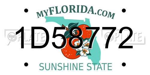 1D58772 Florida License Plate