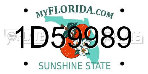 1D59989 Florida License Plate