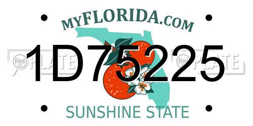 1D75225 Florida License Plate