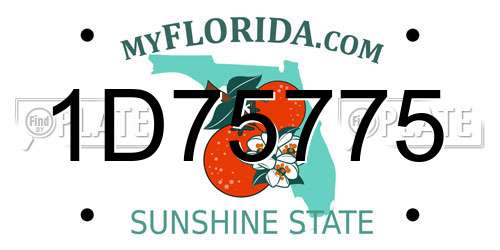 1D75775 Florida License Plate