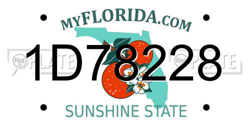 1D78228 Florida License Plate