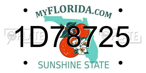 1D78725 Florida License Plate