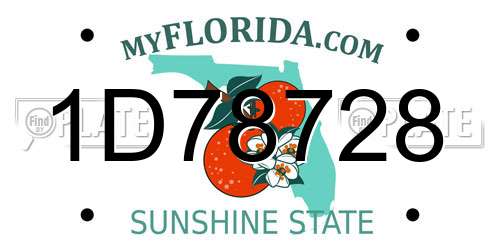 1D78728 Florida License Plate