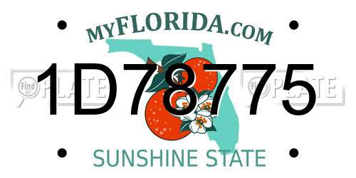 1D78775 Florida License Plate