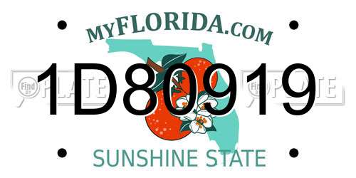 1D80919 Florida License Plate