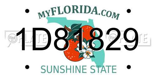 1D81829 Florida License Plate