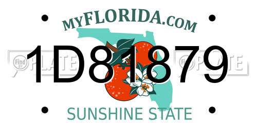 1D81879 Florida License Plate