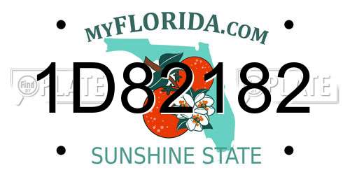 1D82182 Florida License Plate