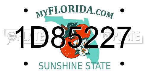 1D85227 Florida License Plate