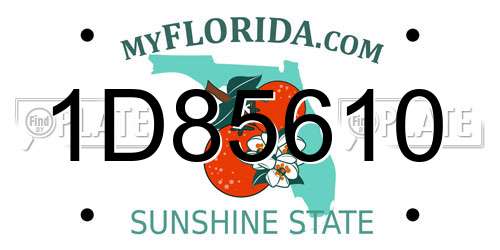 1D85610 Florida License Plate