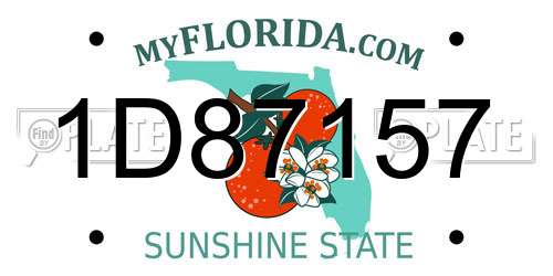 1D87157 Florida License Plate