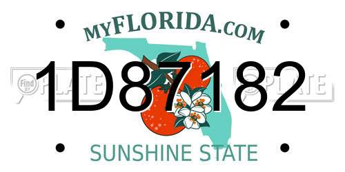 1D87182 Florida License Plate
