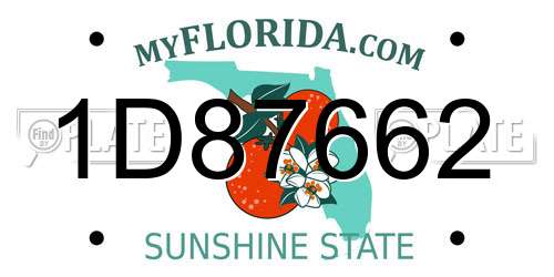 1D87662 Florida License Plate