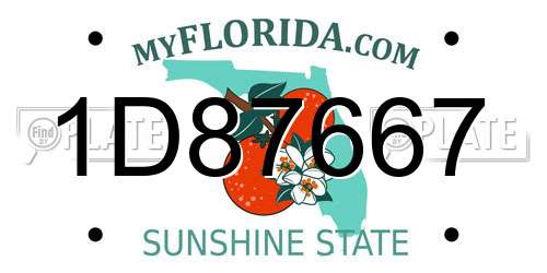 1D87667 Florida License Plate