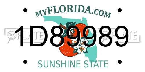 1D89989 Florida License Plate