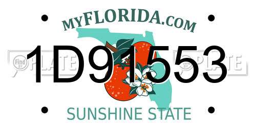 1D91553 Florida License Plate