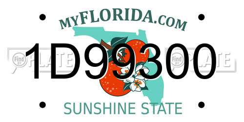 1D99300 Florida License Plate