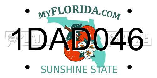 1DAD046 Florida License Plate