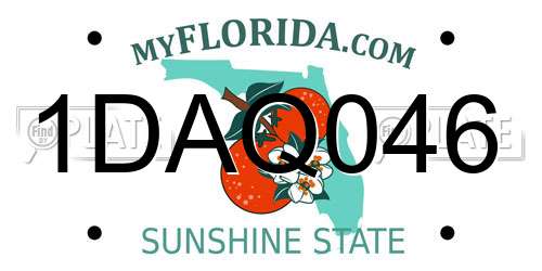 1DAQ046 Florida License Plate